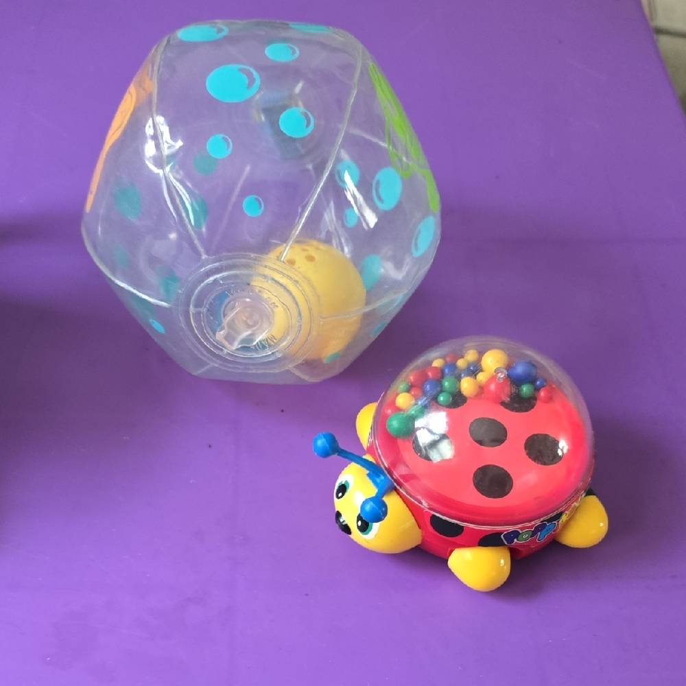 Colorful Ladybug and Ball Toy Set
